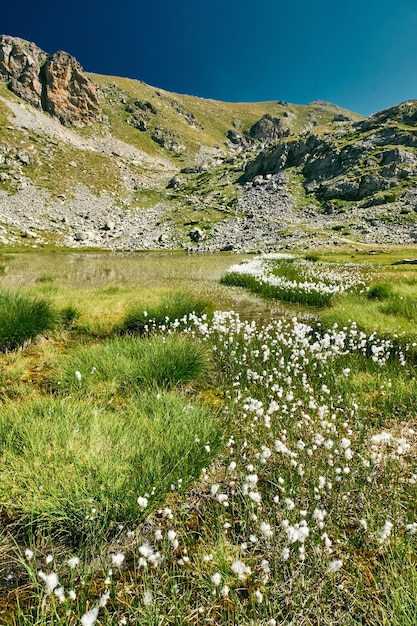 Majestuoso de un pequeño lago de montaña rodeado de pasto de algodón en el campo de la Riviera francesa