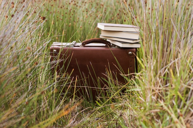 Foto gratuita maleta retro con libros encima