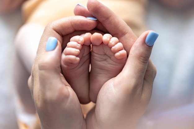 Foto gratuita mamá sostiene las piernas de un bebé recién nacido en sus manos