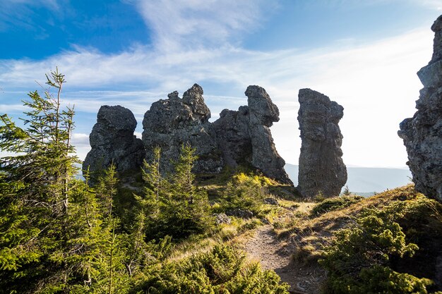 Mañana brumosa de verano en las montañas. Cárpatos, Ucrania, Europa. Mundo de la belleza.