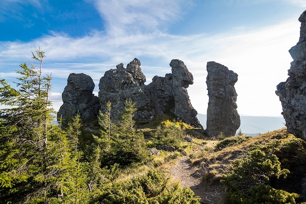 Mañana brumosa de verano en las montañas. Cárpatos, Ucrania, Europa. Mundo de la belleza.