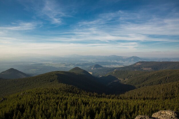 Mañana brumosa de verano en las montañas. Cárpatos, Ucrania, Europa. Mundo de la belleza.