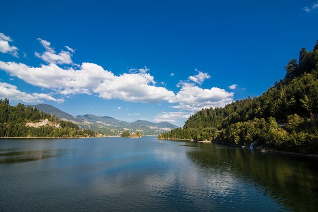 Mañana brumosa de verano en las montañas. Cárpatos, Ucrania, Europa. Mundo de la belleza.