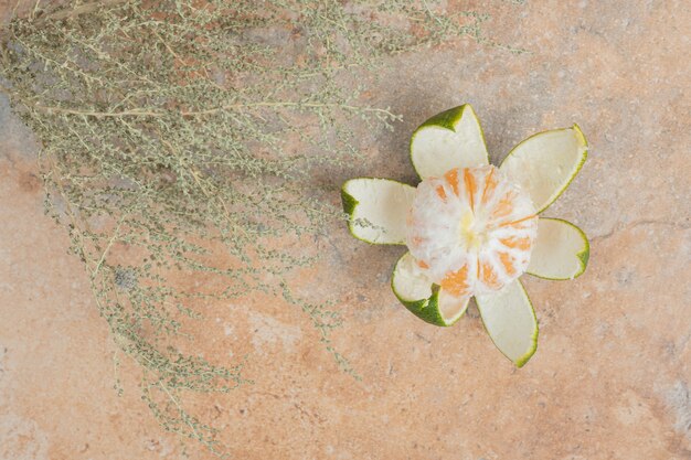 Mandarina fresca y planta sobre fondo de mármol.