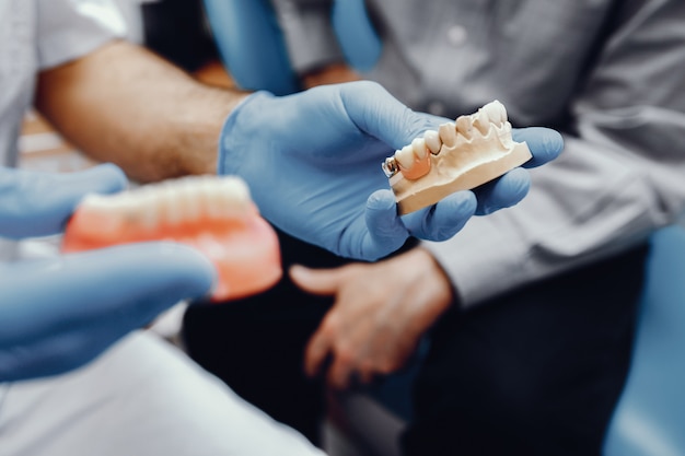 Foto gratuita mandíbula artificial en el consultorio del dentista.