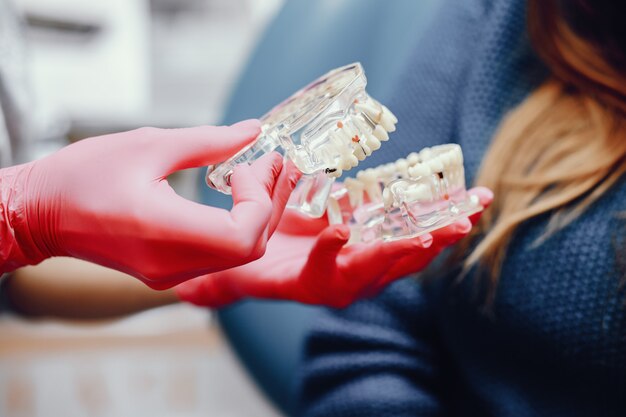 Mandíbula artificial en el consultorio del dentista.