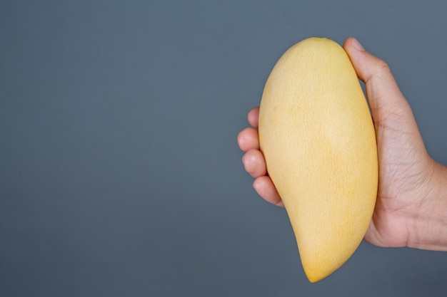 Mango de mango en el fondo gris.