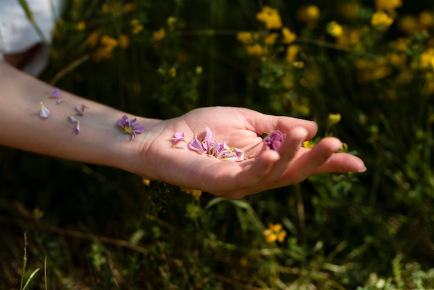 Mano de alto ángulo con pétalos de flores.