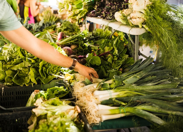 La mano del consumidor masculino que elige verduras frescas verdes en el puesto del mercado