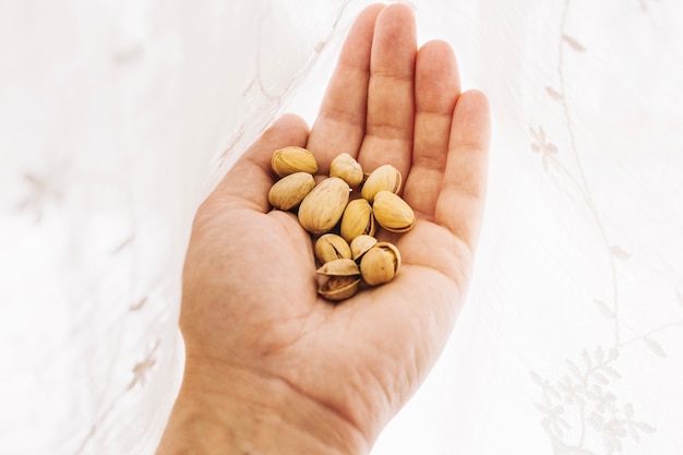 Mano de cultivo con frutos secos