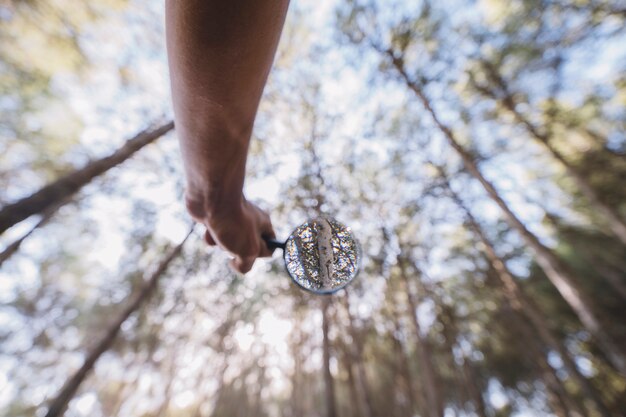 Mano de cultivo con lupa en el bosque