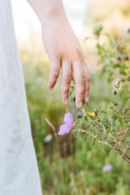 Mano deslizándose a través de flores en la naturaleza