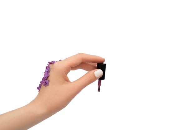 Mano femenina adornada con las flores de la lila que sostienen el cepillo púrpura del esmalte de uñas aislado en el fondo blanco. Concepto de primavera.