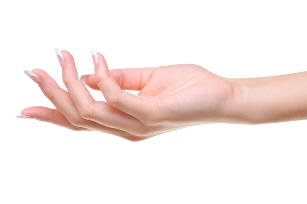 Una mano femenina elegante con manicura francesa belleza aislado en blanco