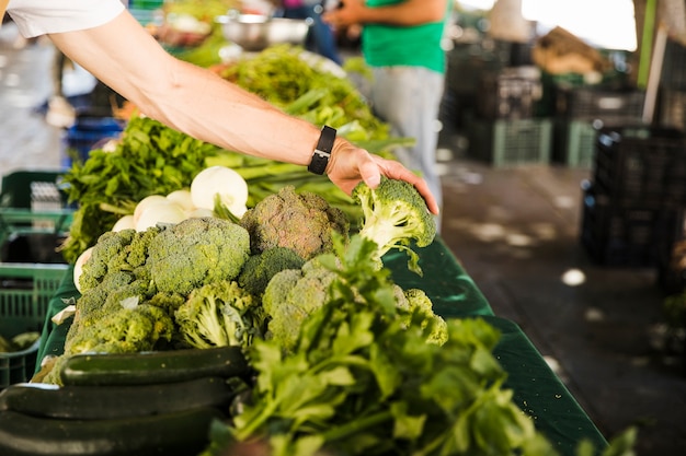 La mano del hombre sosteniendo brócoli mientras escoge vegetales del mercado.