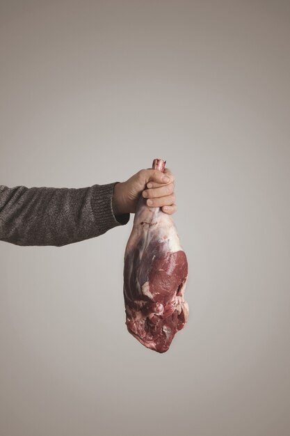 La mano del hombre en suéter gris sostiene la carne de pierna de cordero de carne cruda islandés, aislada sobre fondo blanco gris. dieta paleo, alimentos orgánicos.