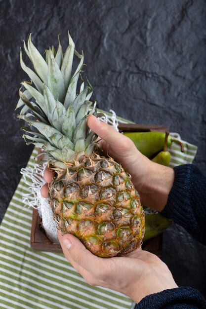 Mano masculina que sostiene una sola piña madura sobre fondo negro.