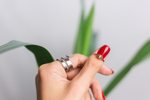 Mano de mujer con manicura roja y dos anillos en los dedos, en la hermosa hoja de palma verde tropical. Pared gris detrás.