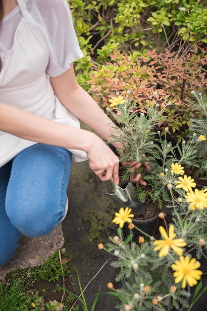 Mano de mujer plantando plantas en maceta