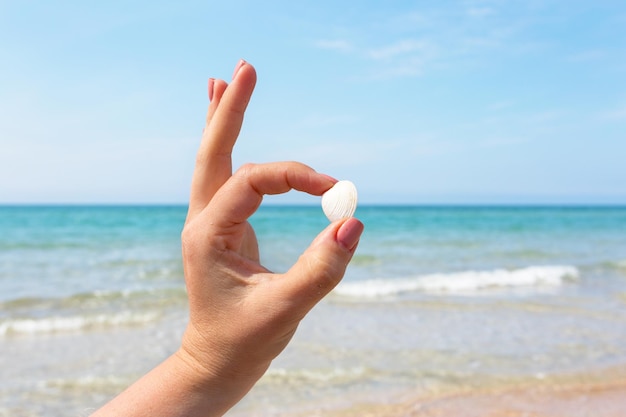 Mano de mujer sosteniendo una concha en la playa