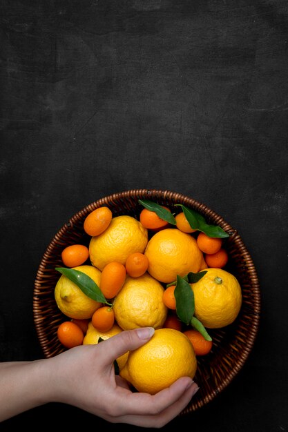 Mano de mujer sosteniendo limón en una cesta llena de limones y kumquats sobre superficie negra