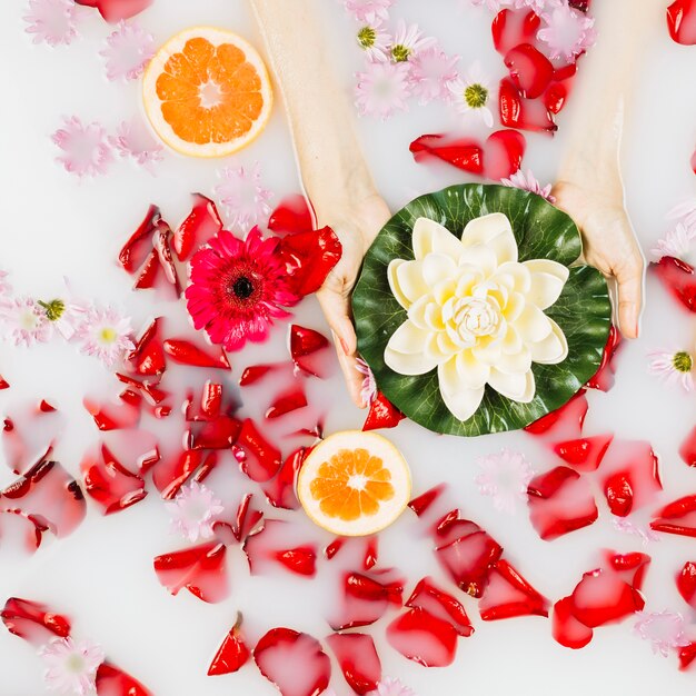 Foto gratuita mano de mujer sosteniendo loto con pétalos y rodajas de pomelo flotando en la leche