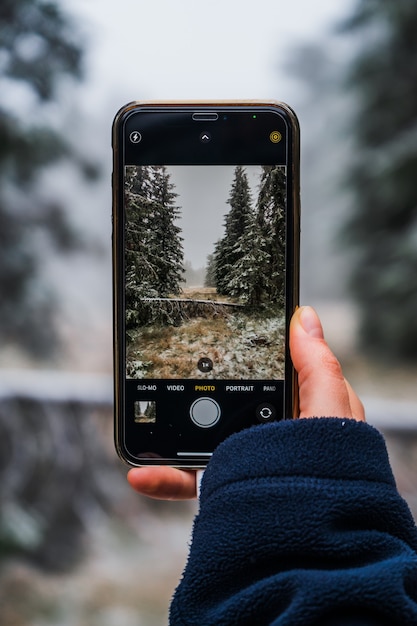 Mano de niña tomando una foto del bosque de invierno brumoso con un teléfono