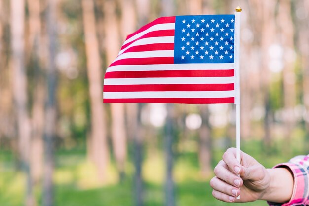 Mano con ondeando bandera americana