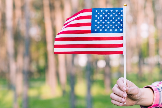 Mano con ondeando bandera americana