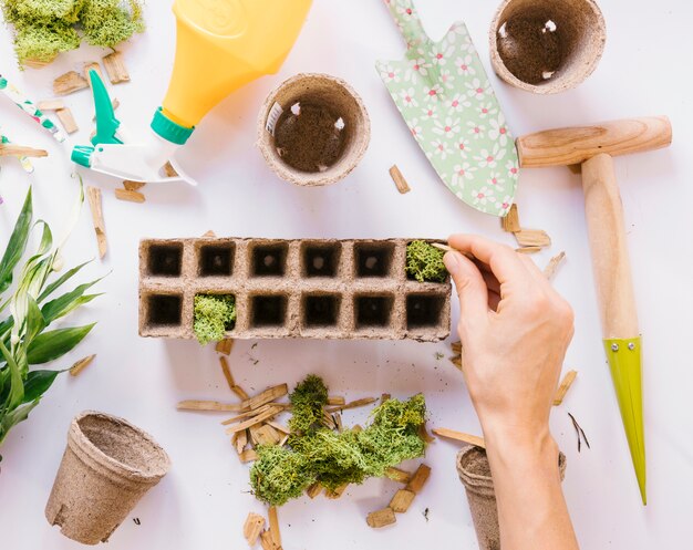 La mano de la persona que pone el musgo en la olla de turba con herramientas de jardinería en el fondo blanco