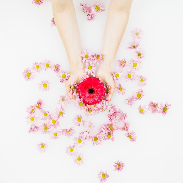 Mano de una persona que sostiene la flor sobre el agua del baño