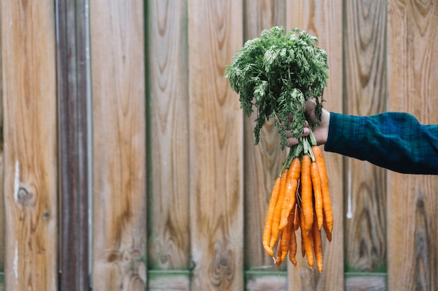 Mano de una persona sosteniendo un manojo de zanahorias frente a un fondo de madera