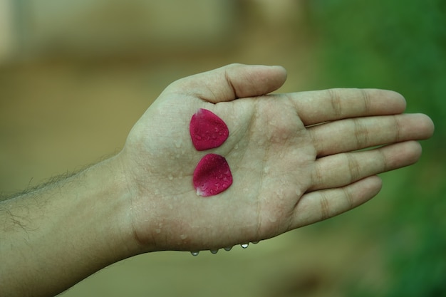 Foto gratuita mano con pétalos rojos