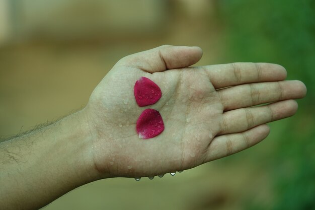 Mano con pétalos rojos