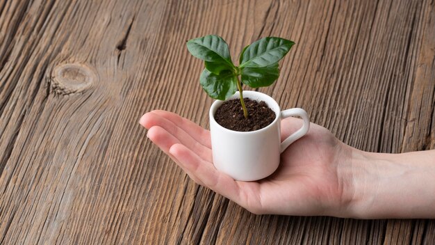 Mano de primer plano sosteniendo una taza pequeña con planta