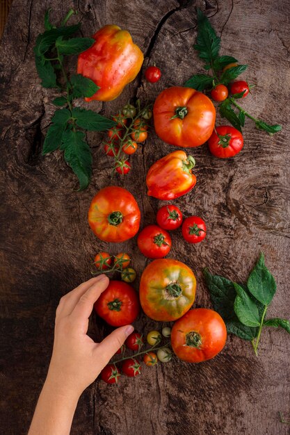 Mano de primer plano sosteniendo tomate fresco
