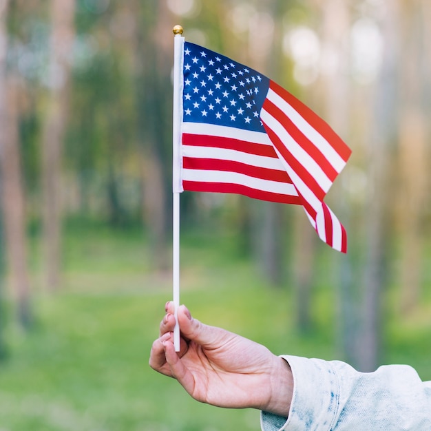 Mano que sostiene la bandera ondeando de estados unidos