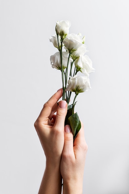 Foto gratuita mano que sostiene la flor elegante