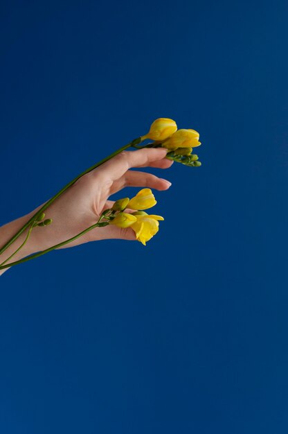 Mano que sostiene la flor elegante