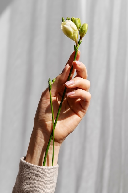 Mano que sostiene la flor elegante