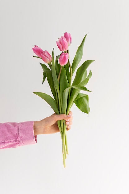 Mano que sostiene la flor elegante