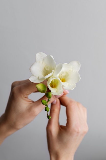 Mano que sostiene la flor elegante