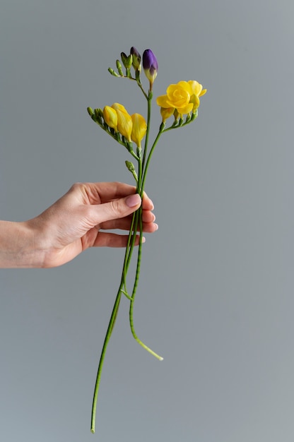 Mano que sostiene la flor elegante