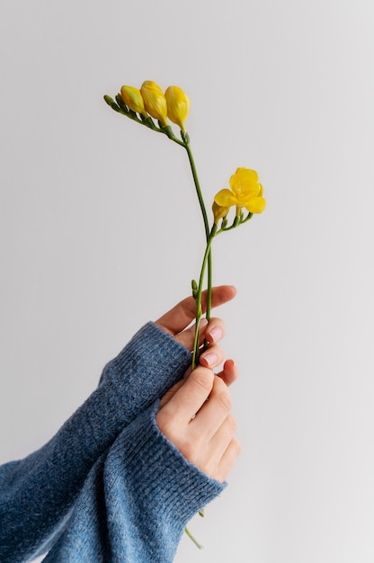 Mano que sostiene la flor elegante