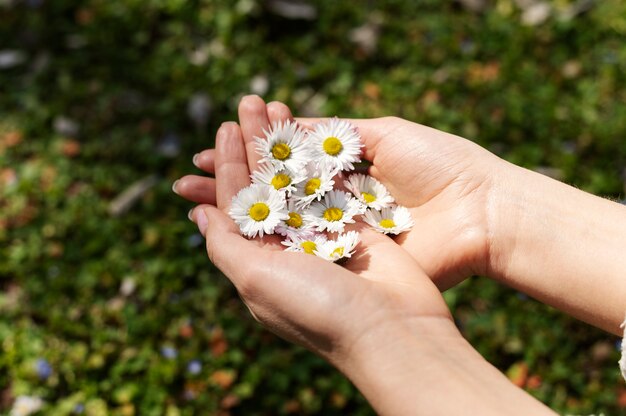 Mano que sostiene la flor elegante