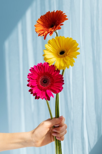 Mano que sostiene la flor elegante