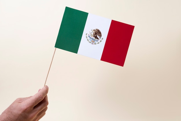 Mano que sostiene la pequeña bandera mexicana