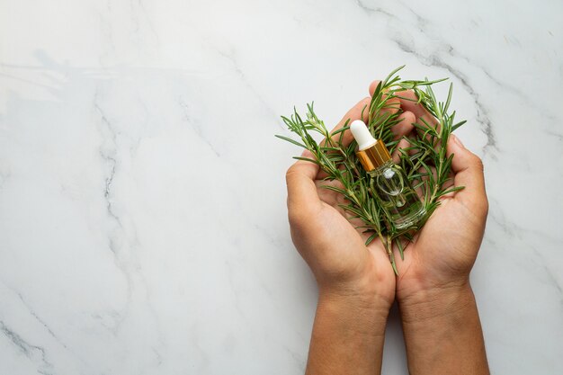 Mano que sostiene la planta fresca de romero y una botella de aceite de romero