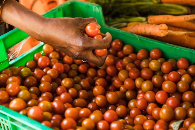 Mano que sostiene el tomate cherry sobre una caja de plástico en el mercado