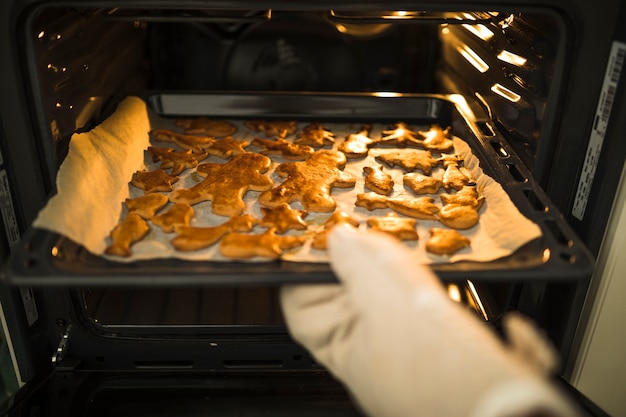 Foto gratuita mano que toma la bandeja de goteo del horno